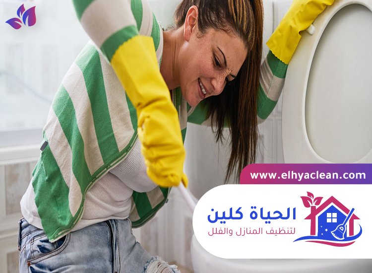 شركة تنظيف في صفد 3 شركة تنظيف في صفد