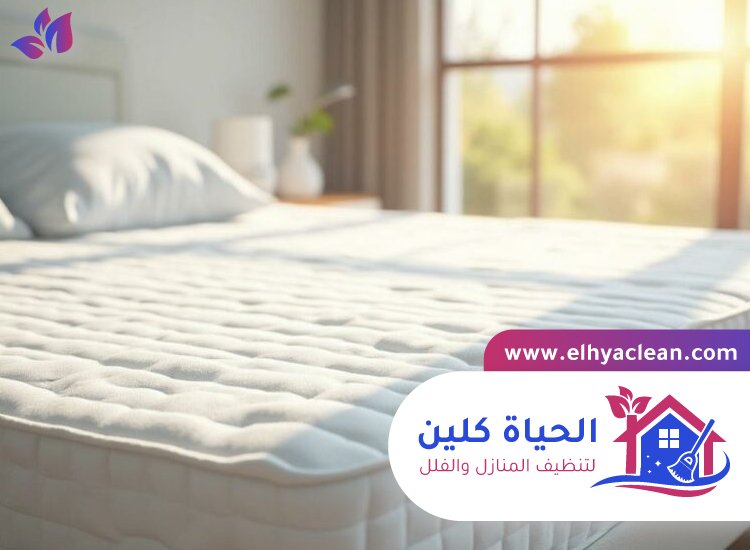 شركة تنظيف مراتب في عجمان 4 شركة تنظيف مراتب في عجمان