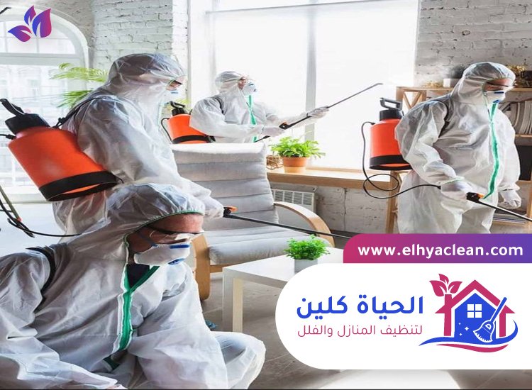 مكافحة حشرات في الفجيرة 2 مكافحة حشرات في الفجيرة