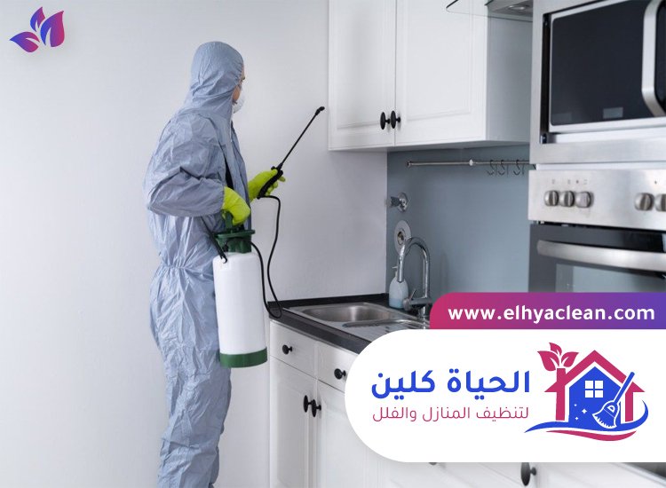 مكافحة حشرات في الفجيرة 3 مكافحة حشرات في الفجيرة