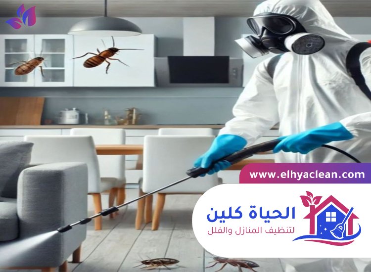 مكافحة حشرات في راس الخيمة 3 مكافحة حشرات في راس الخيمة
