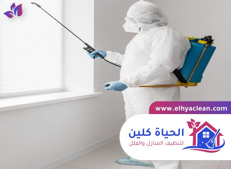 مكافحة حشرات في راس الخيمة 2 مكافحة حشرات في راس الخيمة