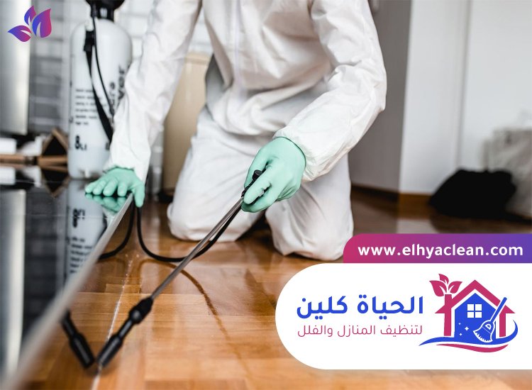 مكافحة حشرات