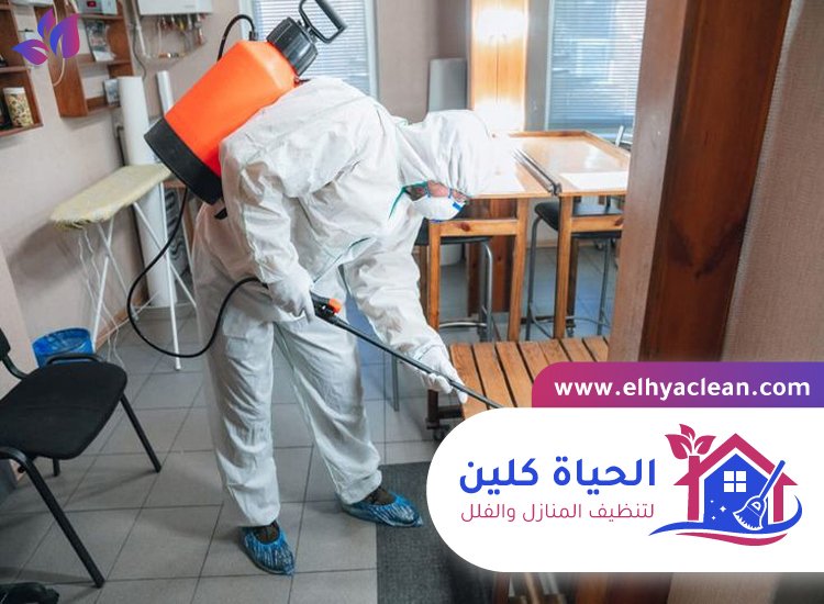 مكافحة حشرات في الفجيرة 4 مكافحة حشرات في الفجيرة