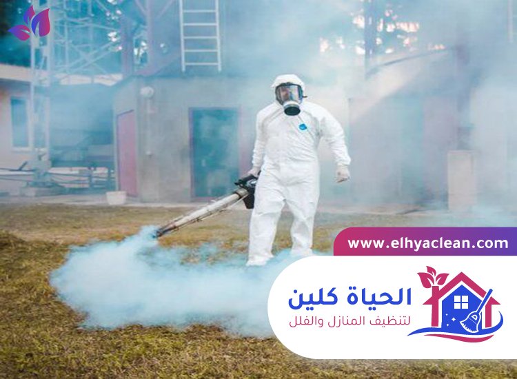 مكافحة حشرات في ابوظبي 2 مكافحة حشرات في ابوظبي