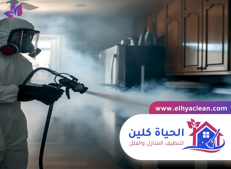 شركة مكافحة حشرات في العين 3 شركة مكافحة حشرات في العين