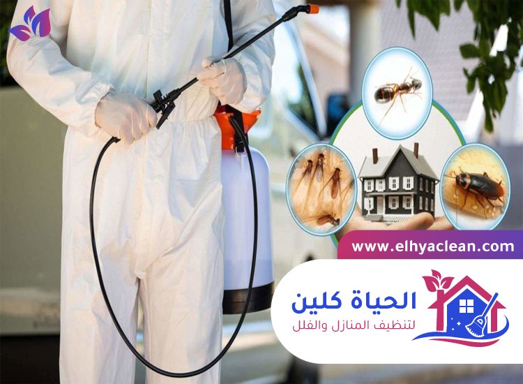 شركة مكافحة حشرات في العين 2 شركة مكافحة حشرات في العين