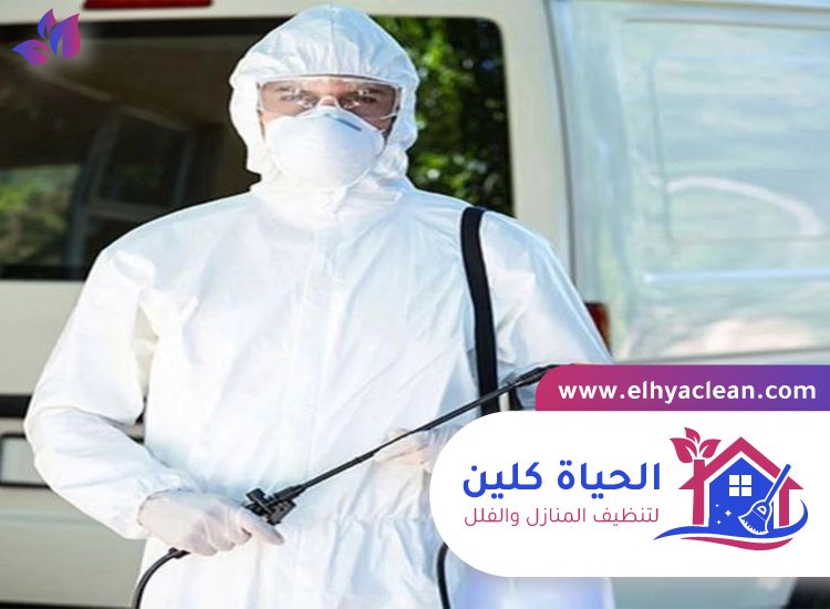 مكافحة الناموس في العين 4 مكافحة الناموس في العين