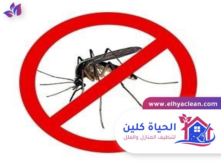 مكافحة الناموس في ام القيوين 4 مكافحة الناموس في ام القيوين