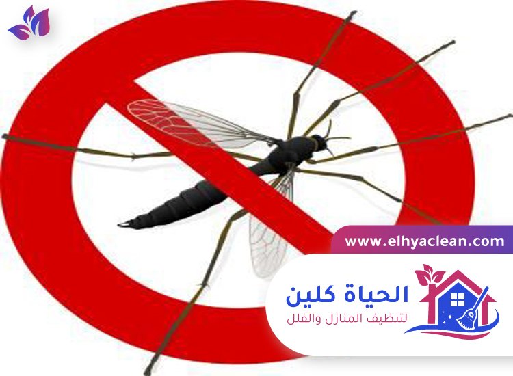 مكافحة الناموس في العين 3 مكافحة الناموس في العين