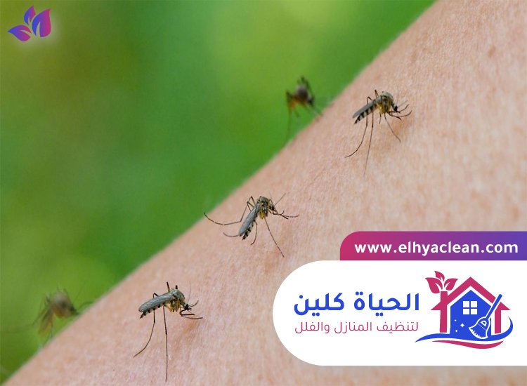 مكافحة الناموس