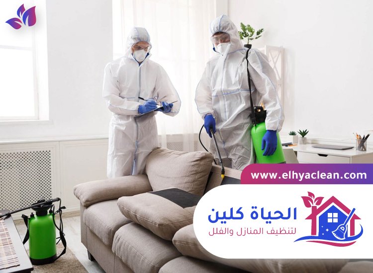 شركة مكافحة حشرات في دبي 2 شركة مكافحة حشرات في دبي