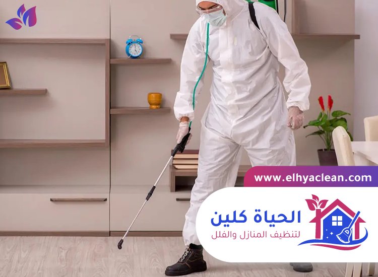 شركة مكافحة حشرات في الشارقة 2 شركة مكافحة حشرات في الشارقة