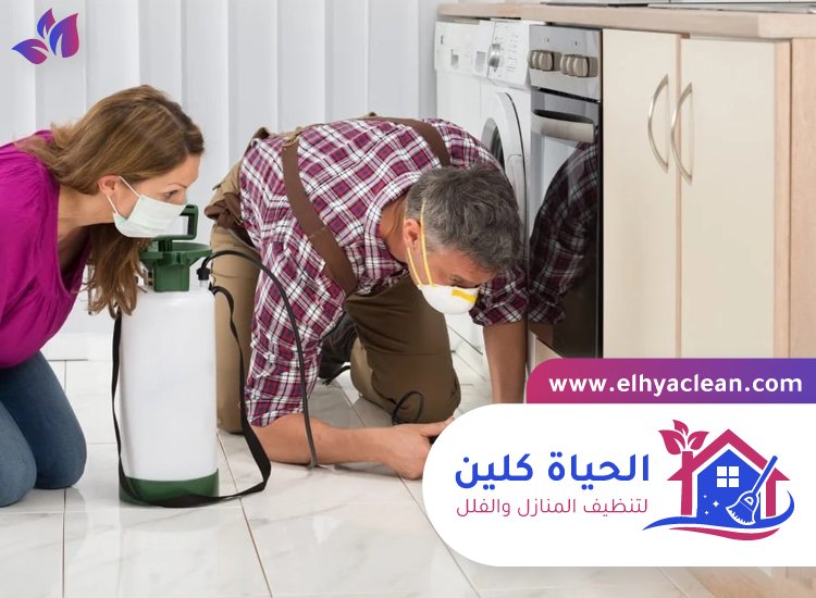 شركة مكافحة حشرات في عجمان 8 شركة مكافحة حشرات في عجمان