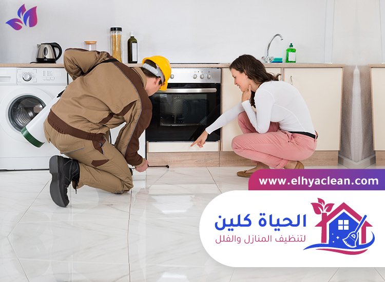 شركة مكافحة حشرات في عجمان 7 شركة مكافحة حشرات في عجمان