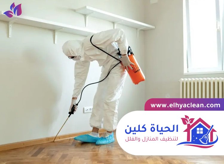 شركة مكافحة حشرات في الشارقة 4 شركة مكافحة حشرات في الشارقة