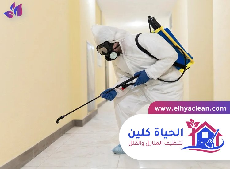 شركة مكافحة حشرات في الشارقة 3 شركة مكافحة حشرات في الشارقة