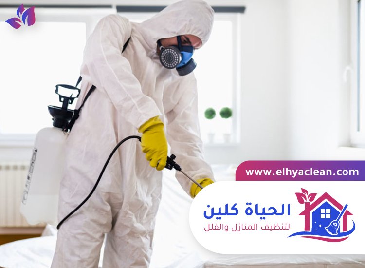 شركة مكافحة حشرات في الشارقة 2 شركة مكافحة حشرات في الشارقة