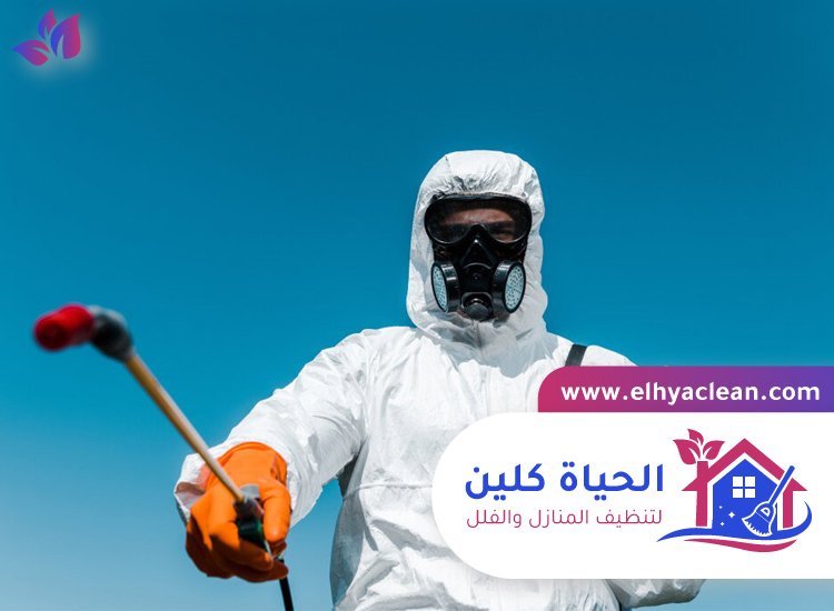 شركة مكافحة حشرات في دبي 4 شركة مكافحة حشرات في دبي