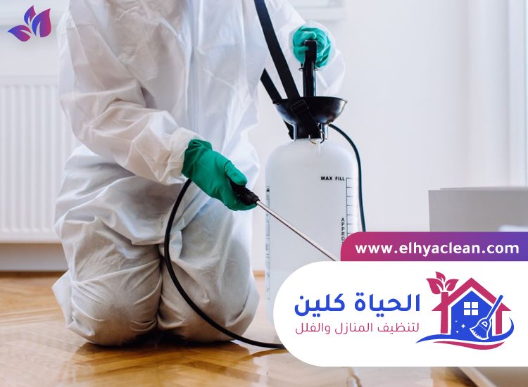 شركة مكافحة حشرات في دبي 3 شركة مكافحة حشرات في دبي