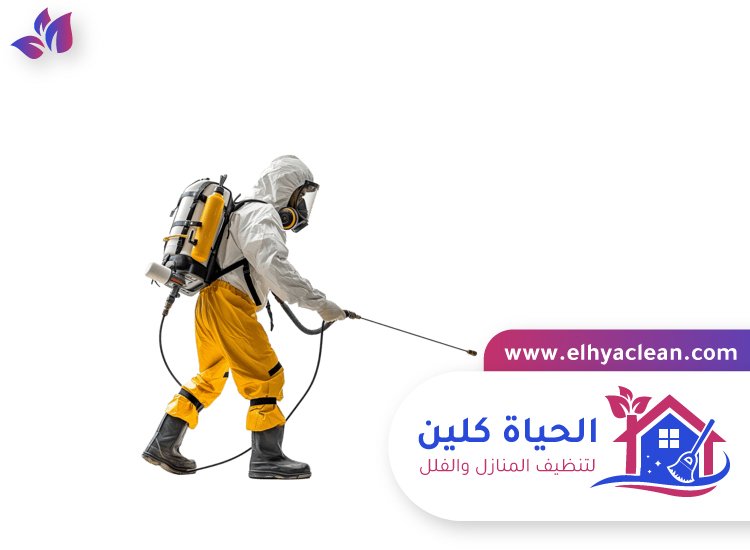 شركة مكافحة حشرات في عجمان 6 شركة مكافحة حشرات في عجمان