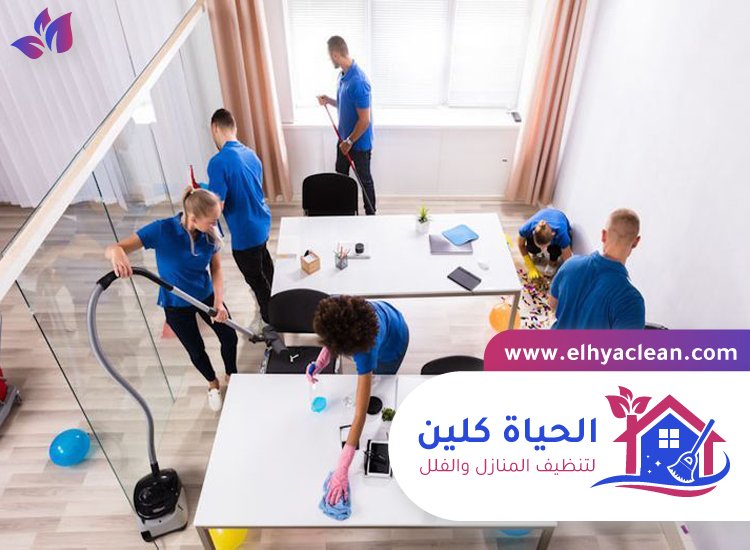 شركة تنظيف