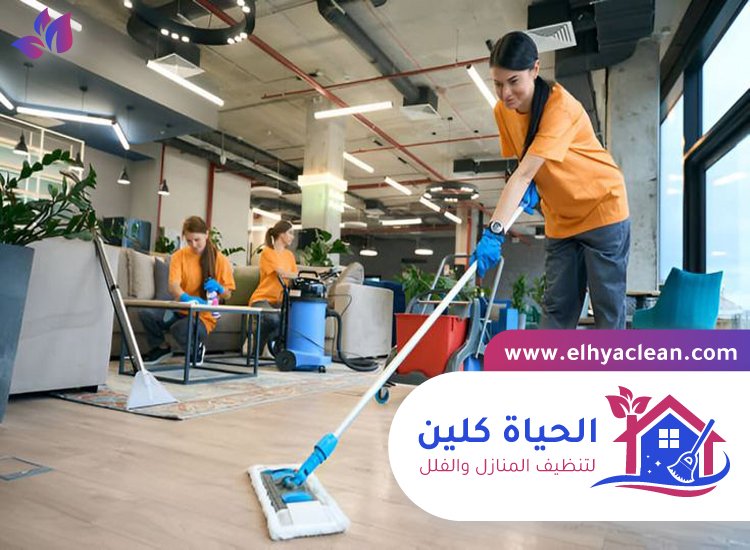 شركة تنظيف