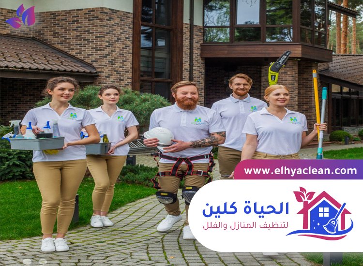 شركة تنظيف
