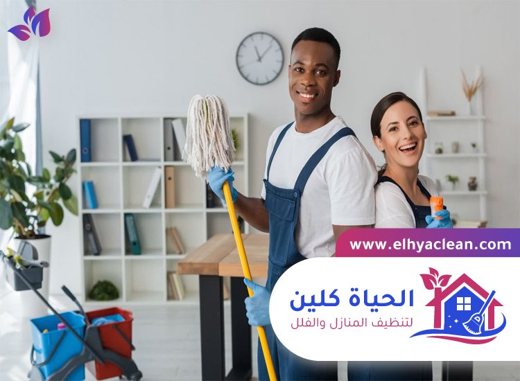 شركة تنظيف