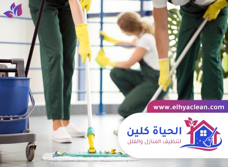شركة تنظيف في العقة 4 شركة تنظيف في العقة