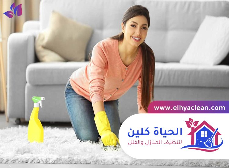 شركة تنظيف سجاد دبي 3 شركة تنظيف سجاد دبي